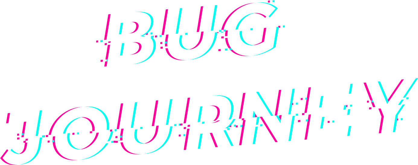 BUG JOURNEY