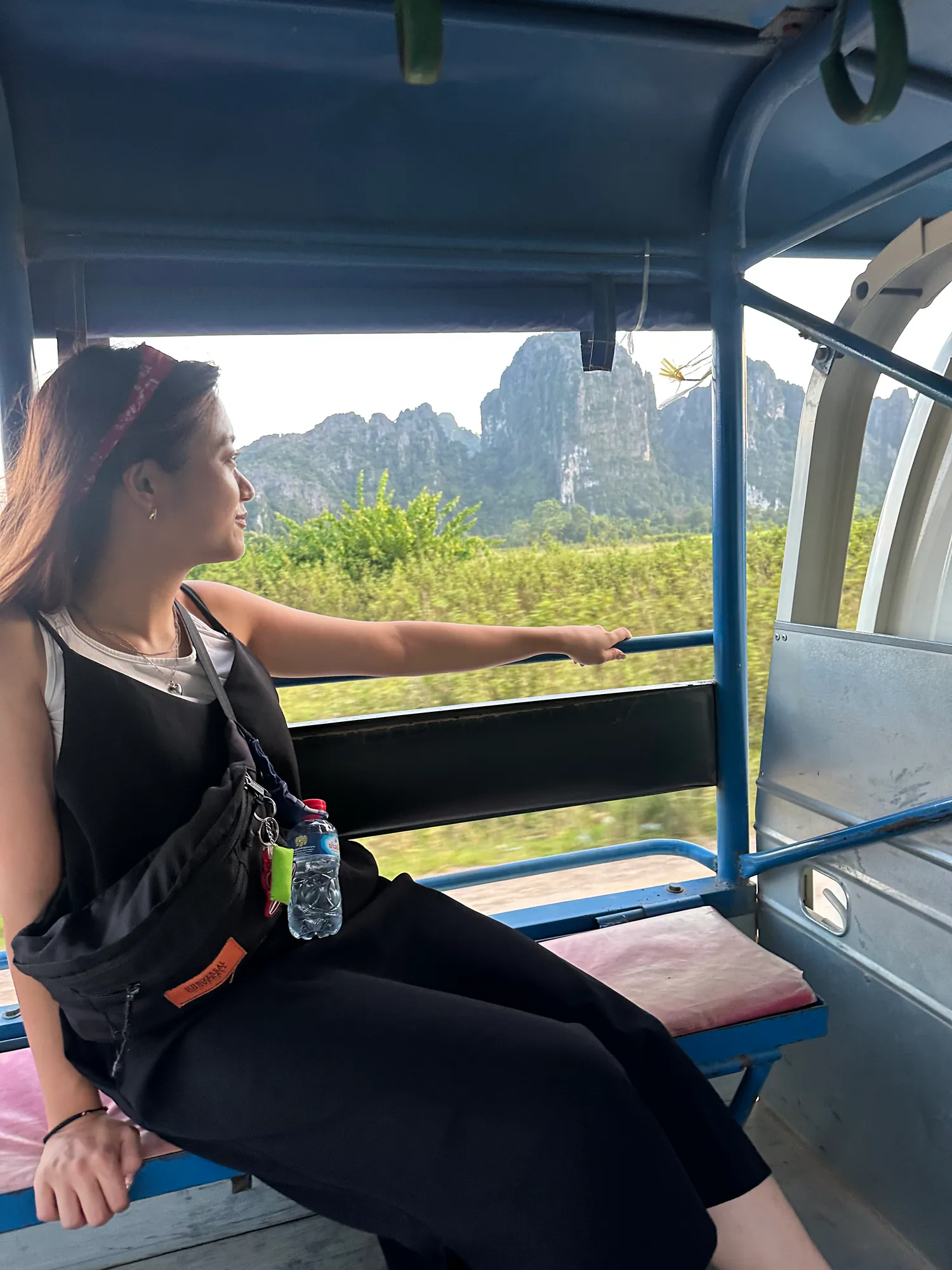 ラオスへ入国しバンビエンへ向かう旅の仲間
