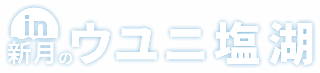 新月のウユニ塩湖