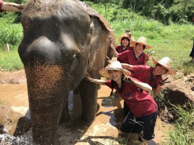 チェンマイで象の体を洗って泥まみれで笑顔、象使いの免許をとる参加者たち